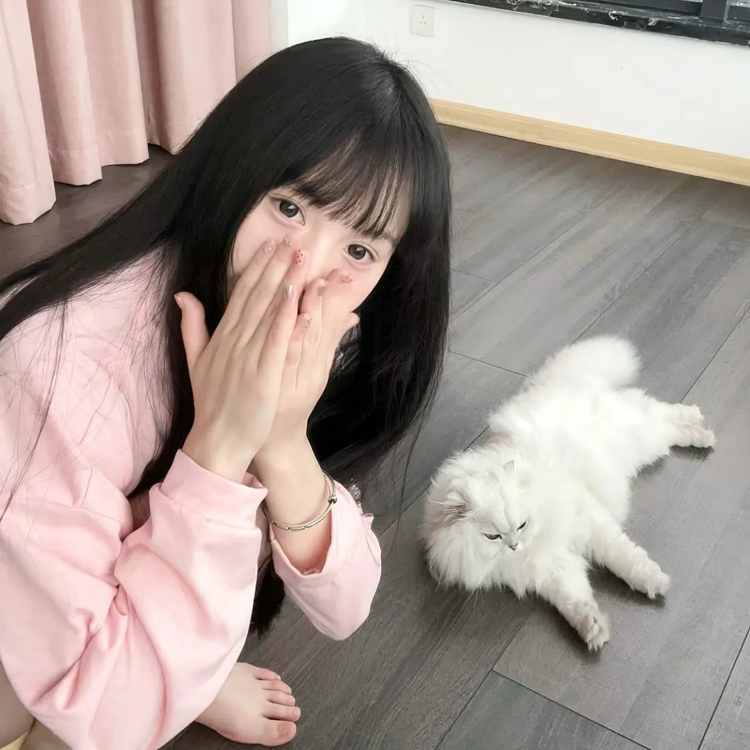 昙花缘未了