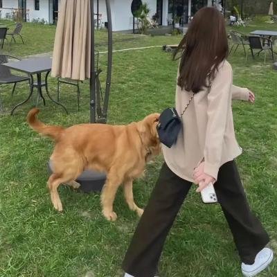 红槐花